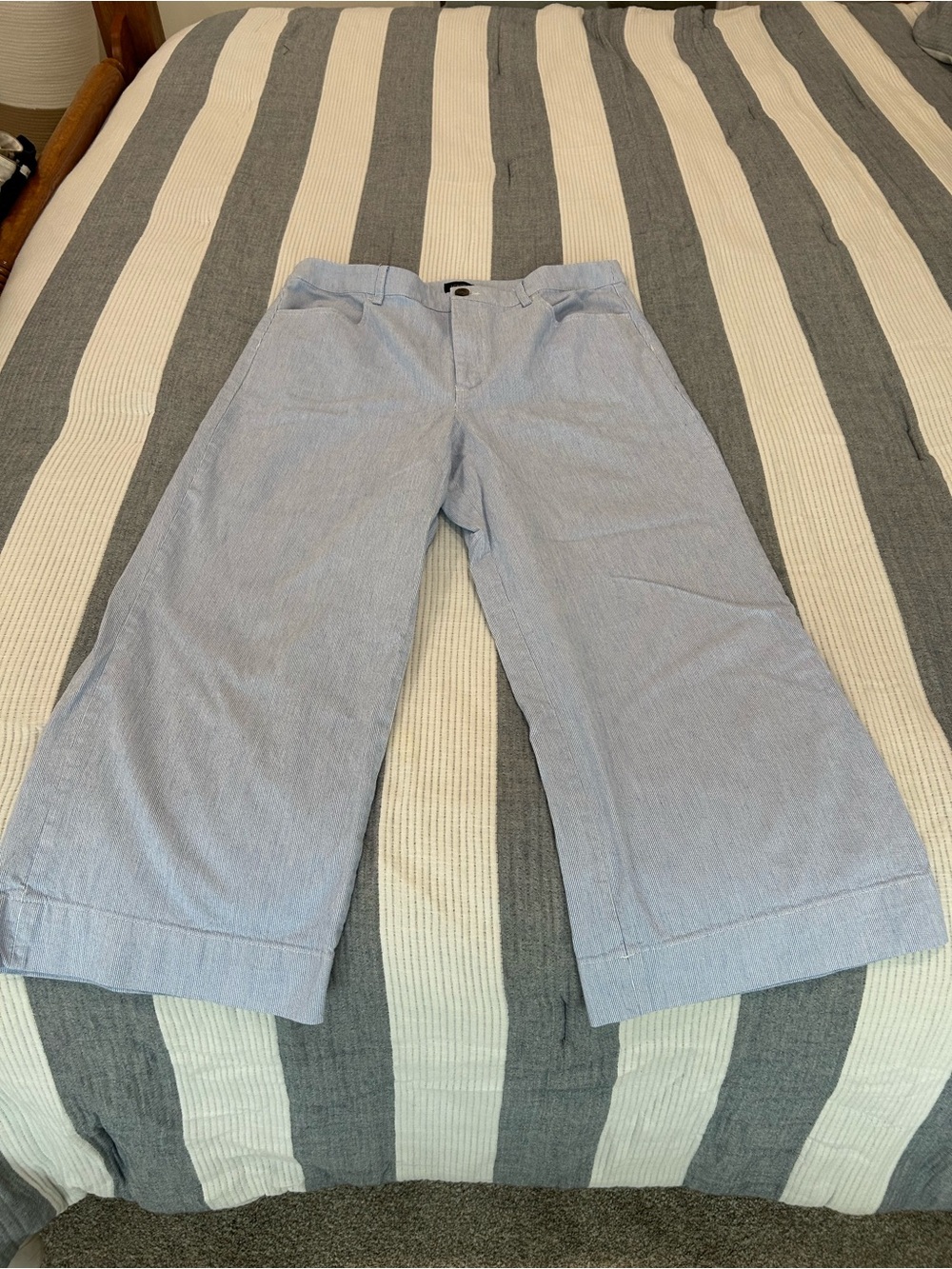 Blue and white thin striped cropped pants - Picture 2 of 3